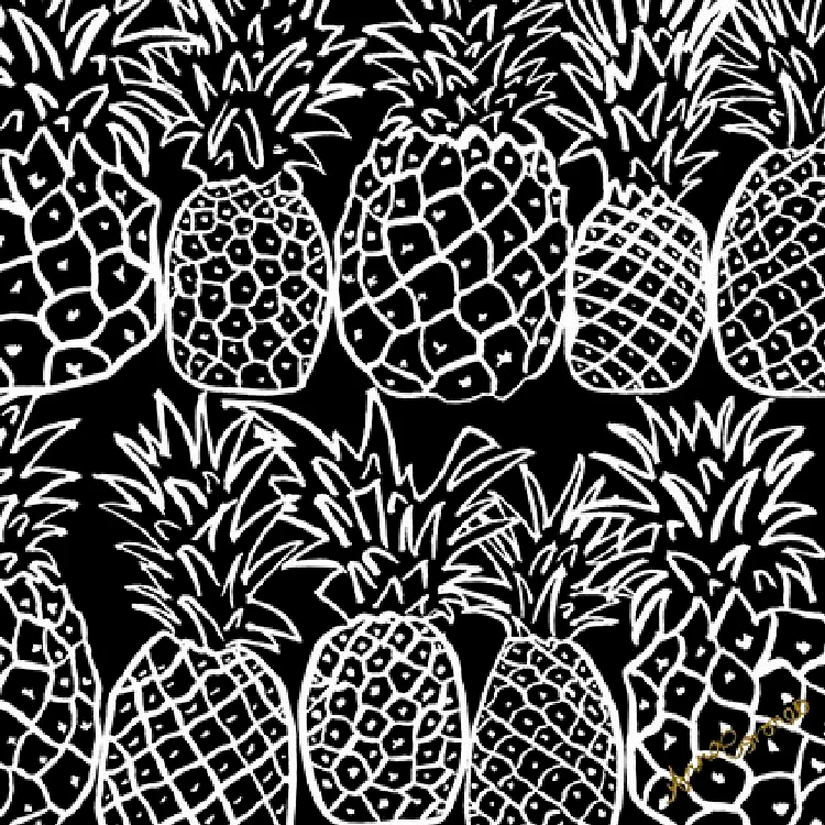 Anna Coroneo - Pineapples