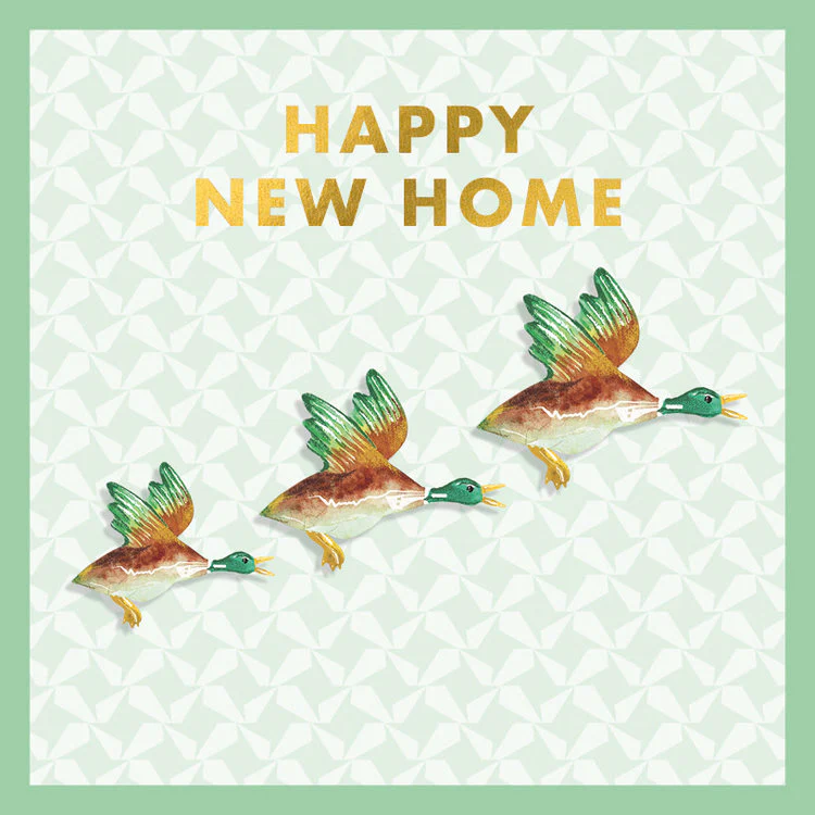 Art File The - New Home Flying Ducks