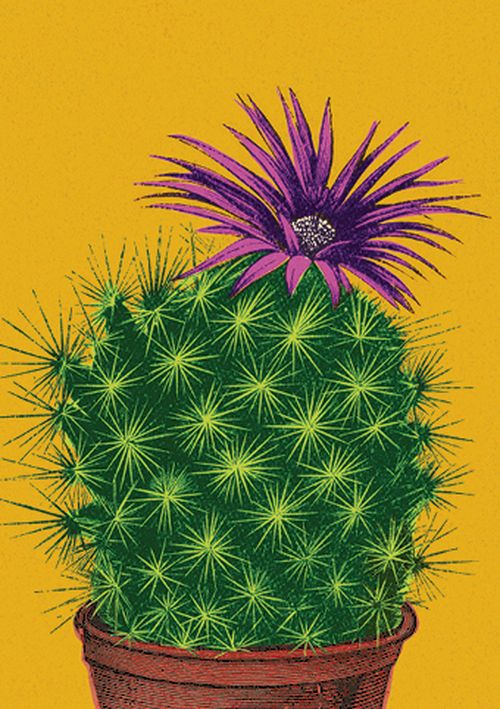 Julia Trigg - Flowring Cactus
