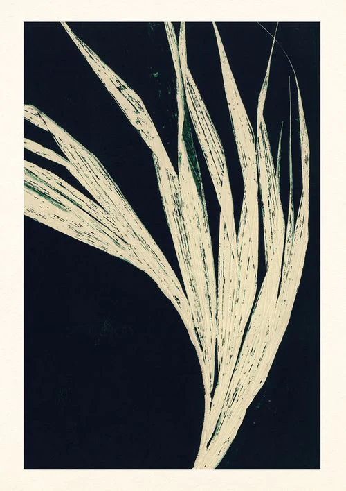 Aurore de la Morinerie - Palm Branch