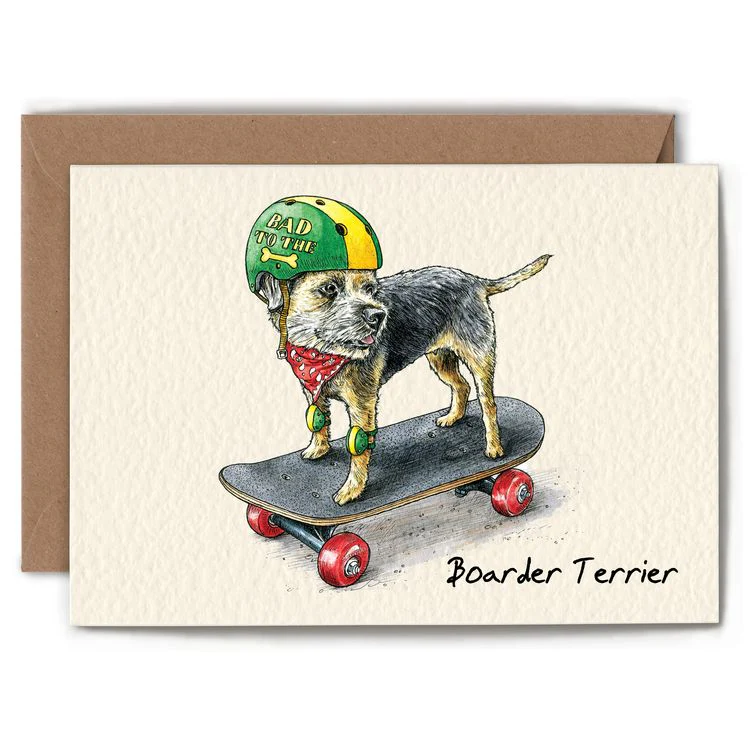 Bewilderbeest - Border Terrier