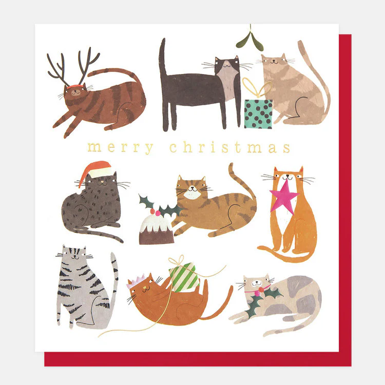 Caroline Gardner - Festive Felines
