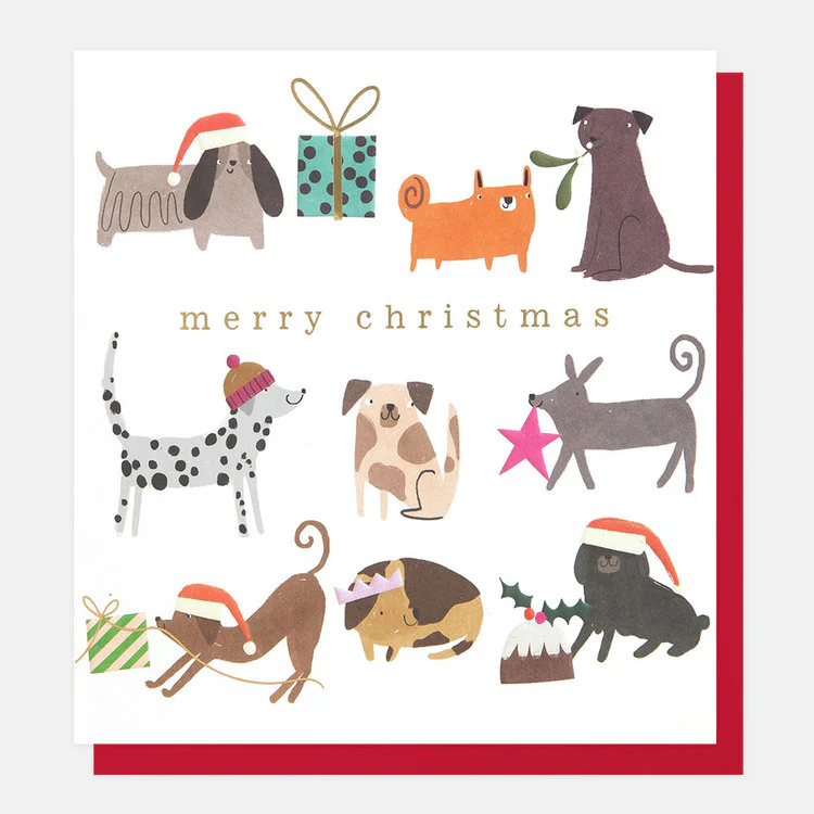 Caroline Gardner - Festive Pups