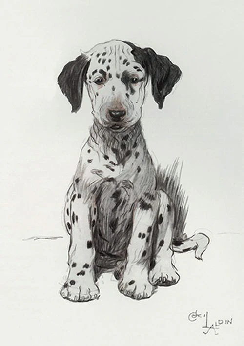 Cecil Aldin - Loopy the ugly puppy