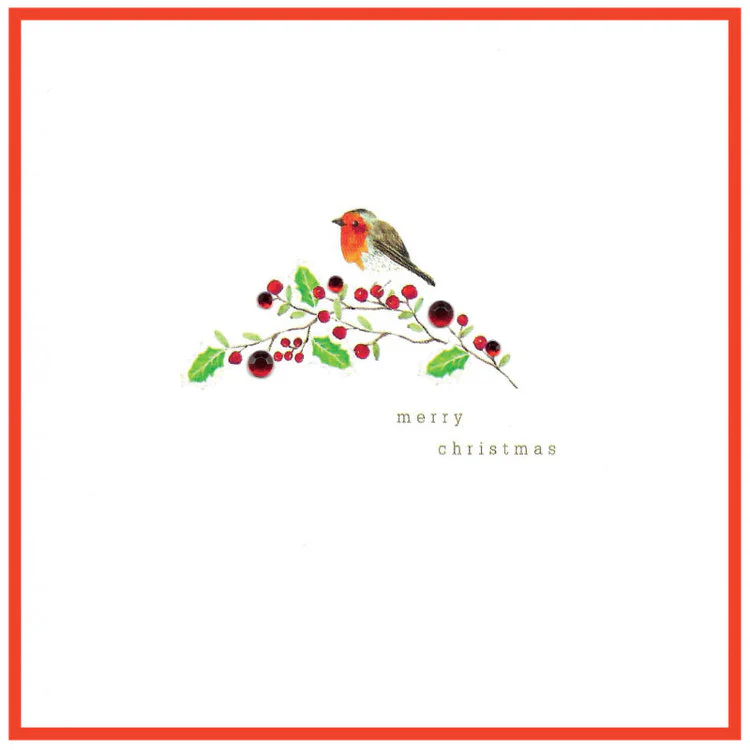 Cinnamon Aitch - robin