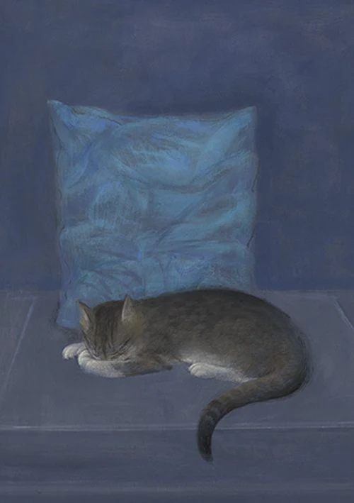 David Tindle - Dormire