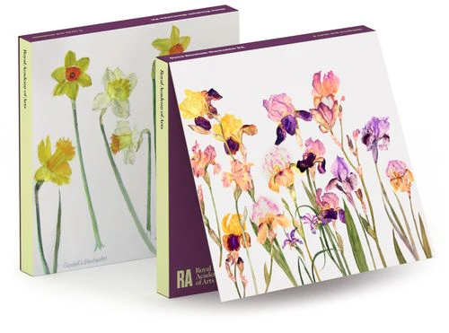 Elizabeth Blackadder - Notecard Wallet x 6