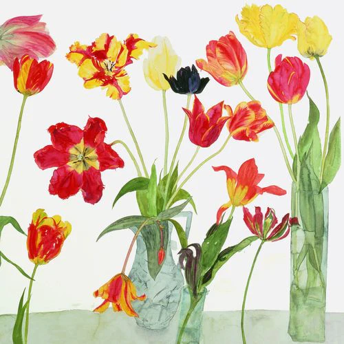Elizabeth Blackadder - Parrot Tulips