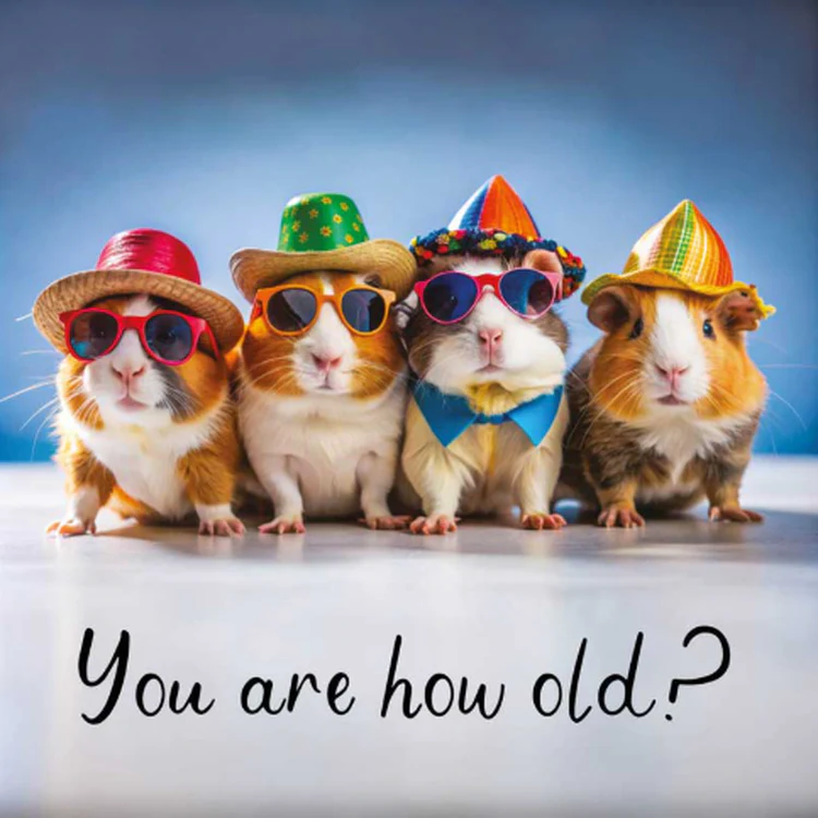 Hammond Gower - You Are How Old - Guniea Pigs