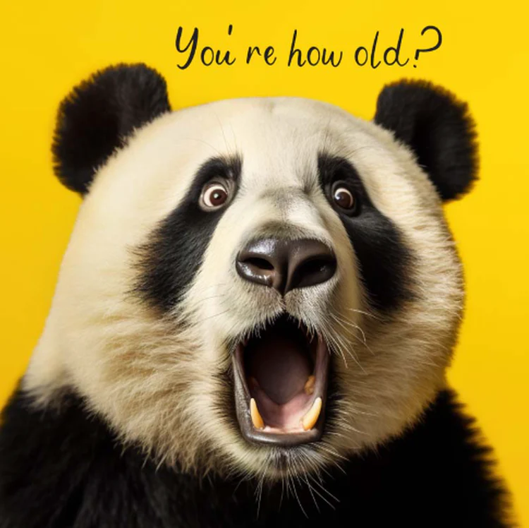 Hammond Gower - You're How Old - Panda