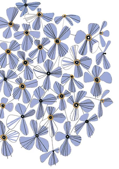 Hannah Pontin - Hydrangea