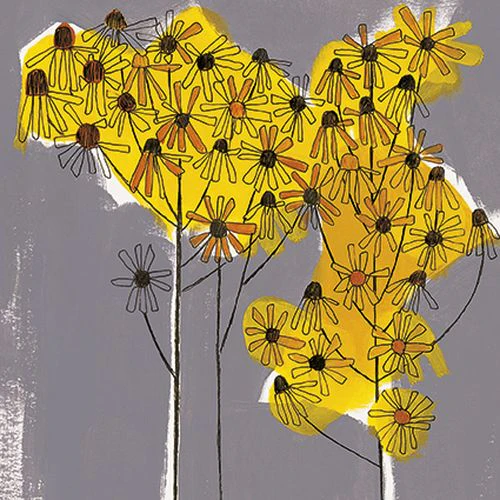 Hannah Pontin - Welsh daisies