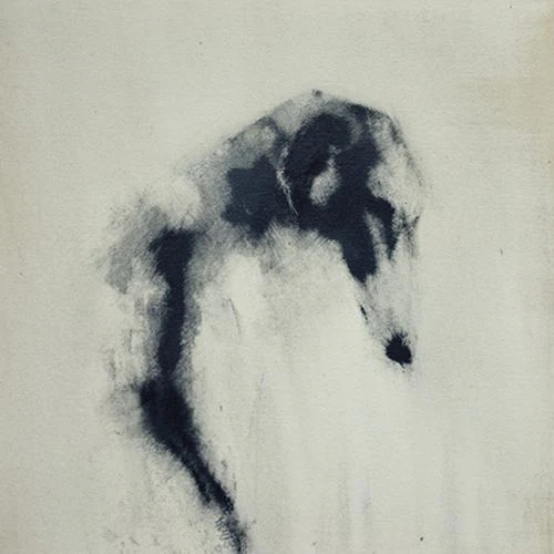 Heidi Wickham - Greyhound