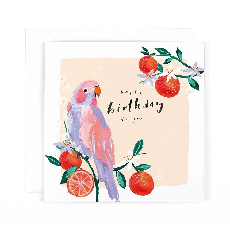 Hotchpotch - Birthday Parakeet