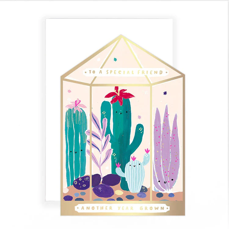 Hotchpotch - Friend Terranium And Cacti