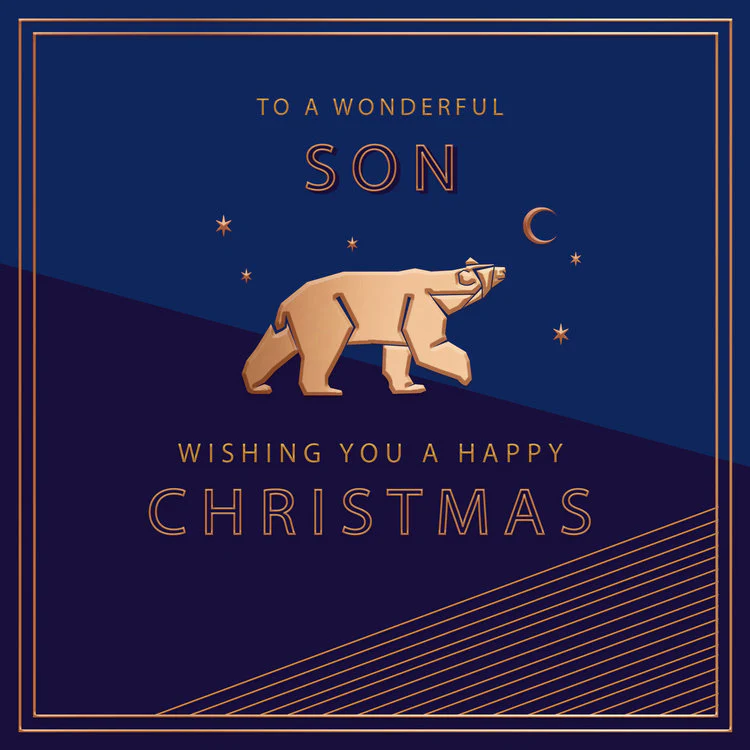 Hotchpotch - Wonderful Son