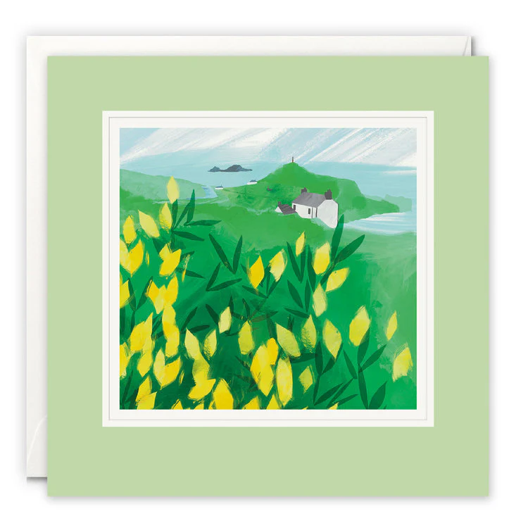 James Ellis - Golden Gorse Cape Cornwall