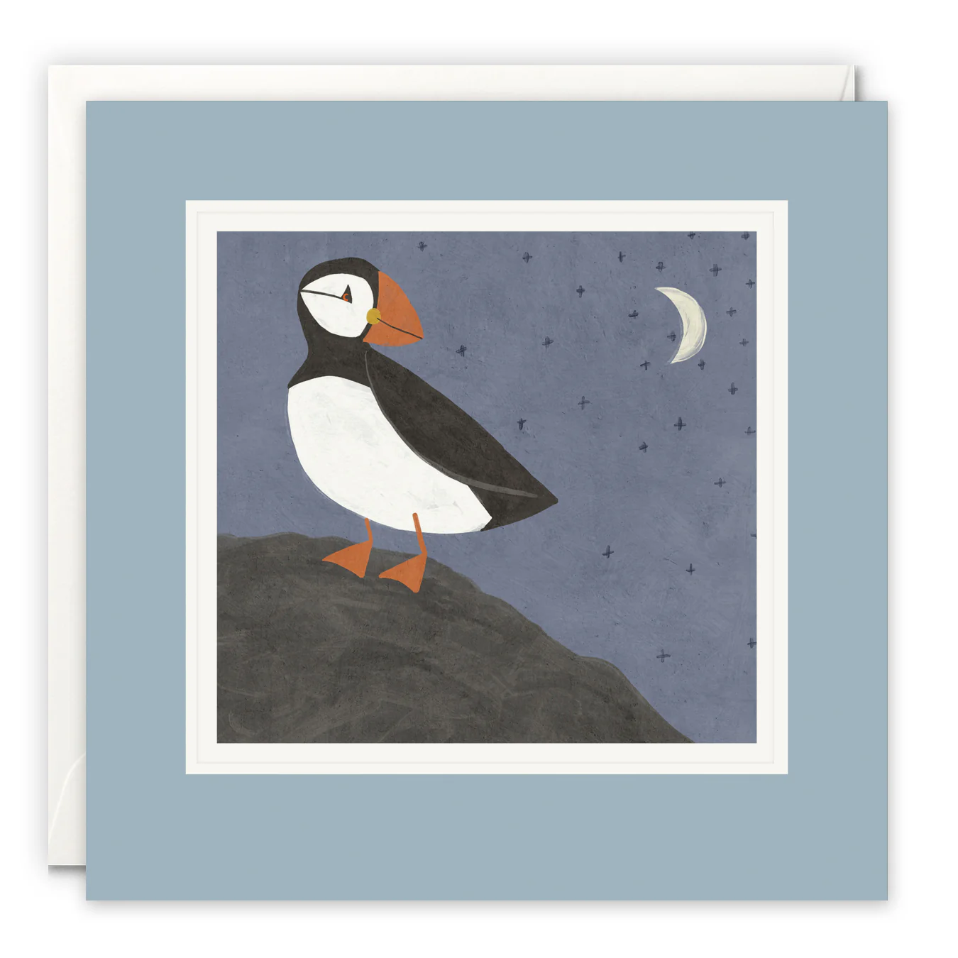 James Ellis - Puffin