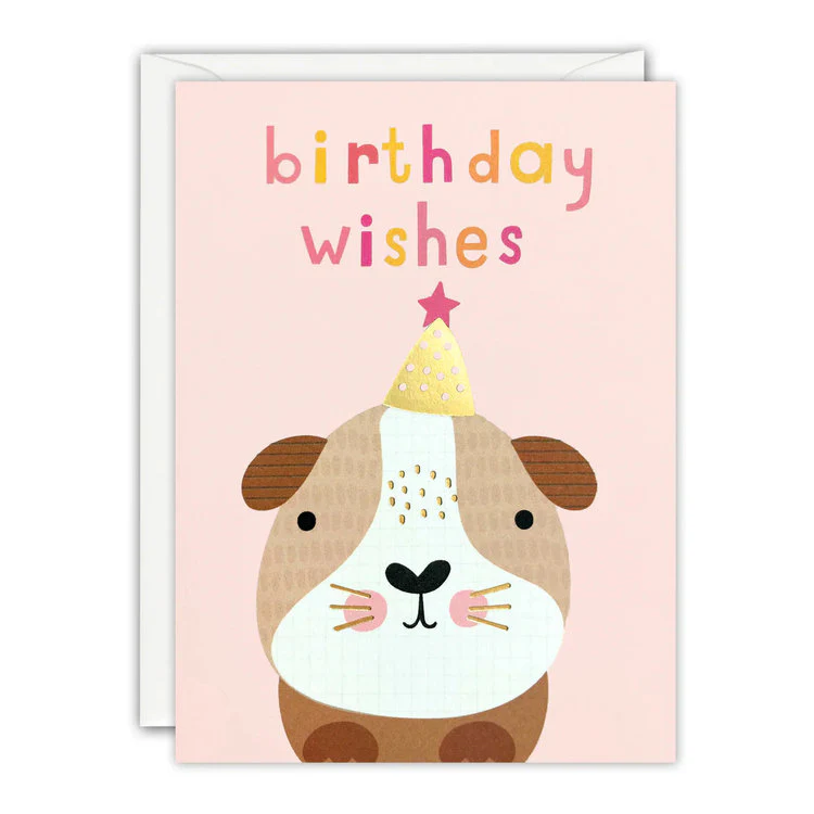 James Ellis Stevens - Birthday Guinea Pig