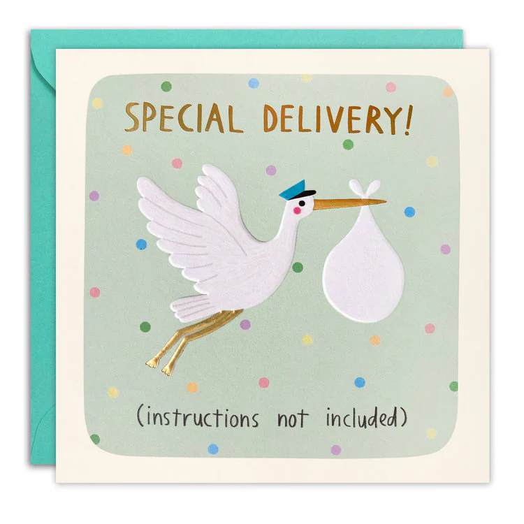 James Ellis Stevens - Special Delivery New Baby