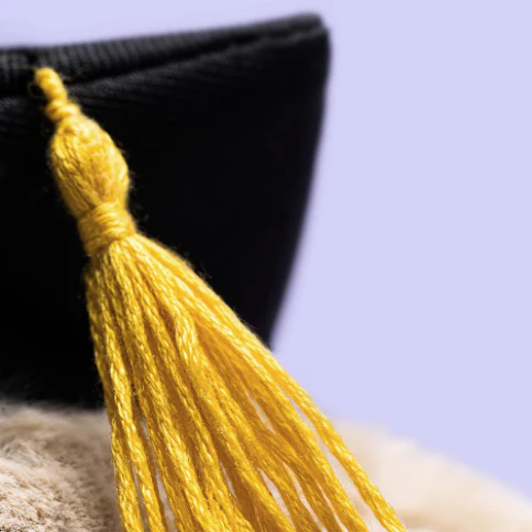 Jellycat - Bashful Bunny Graduation Outfit - Image 4