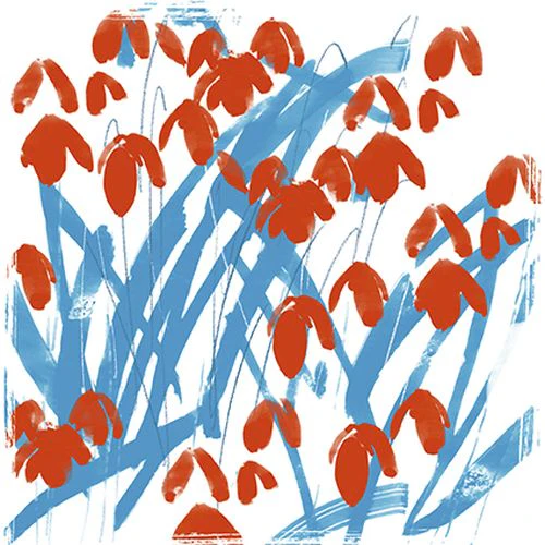 Jenny Frean - Red Snowdrops