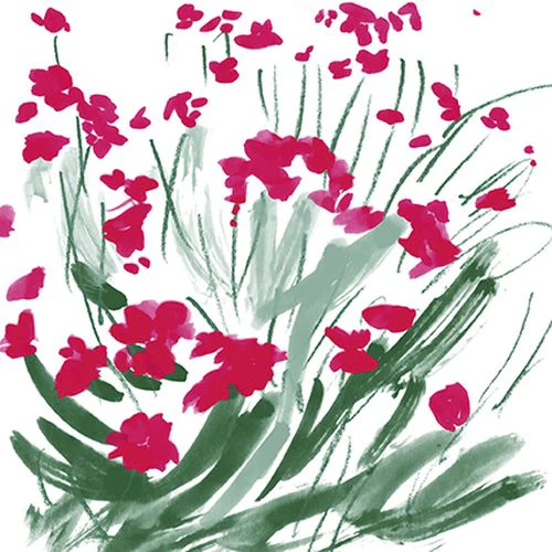 Jenny Frean - Rose Campion