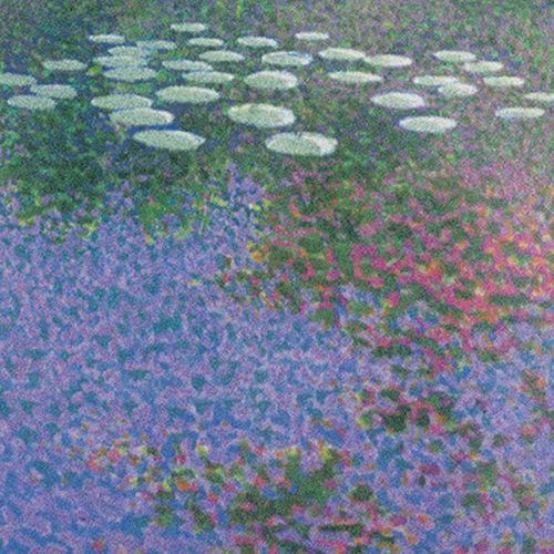 John Titchell - Waterlilies