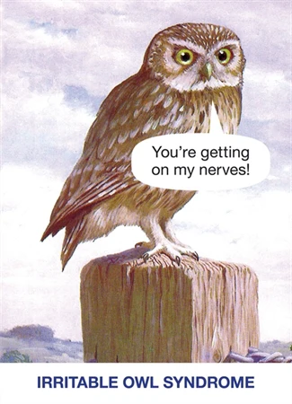 Kiss Me Kwik - Owl