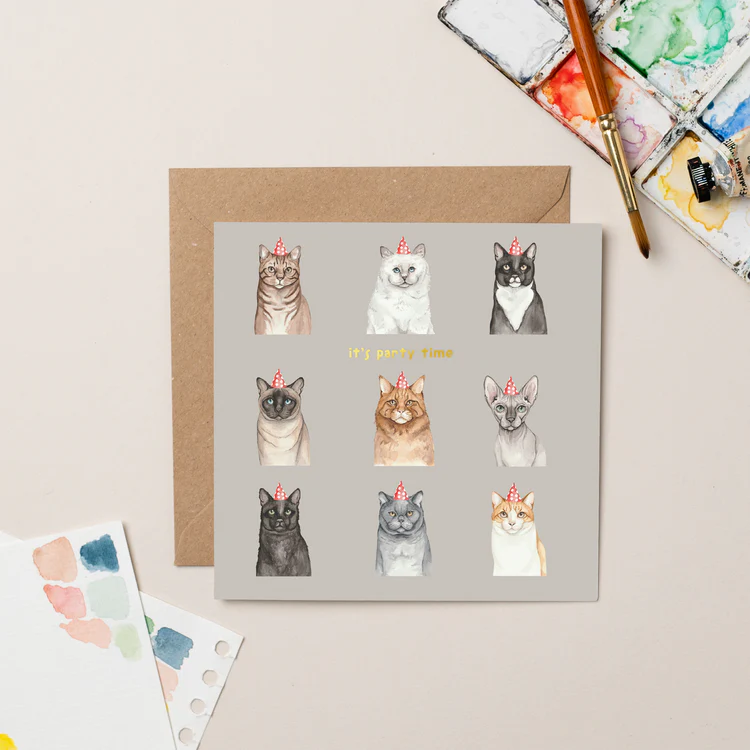 Lil Wabbit - Party Cat Multi