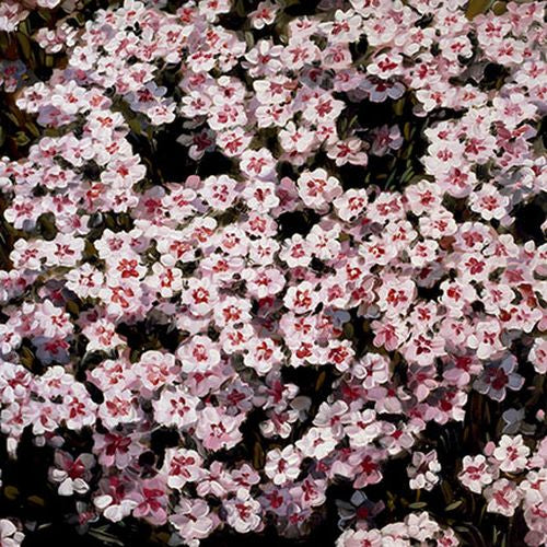 Lisa Milroy - Flowers