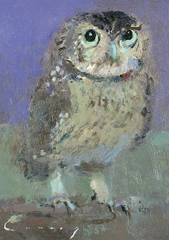 Fred Cuming - Little Owl