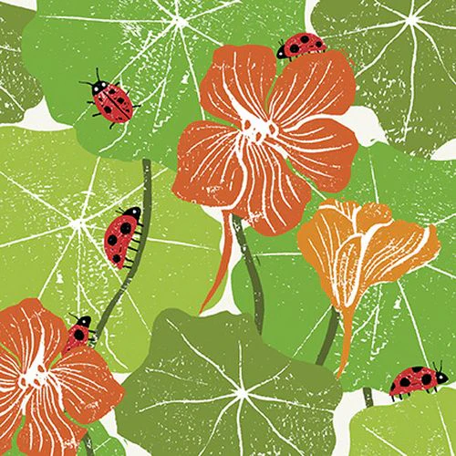 Liza Saunders - Nasturtium Hunt