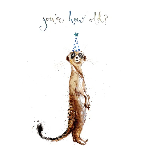 Louise Mulgrew - How Old? Meerkat