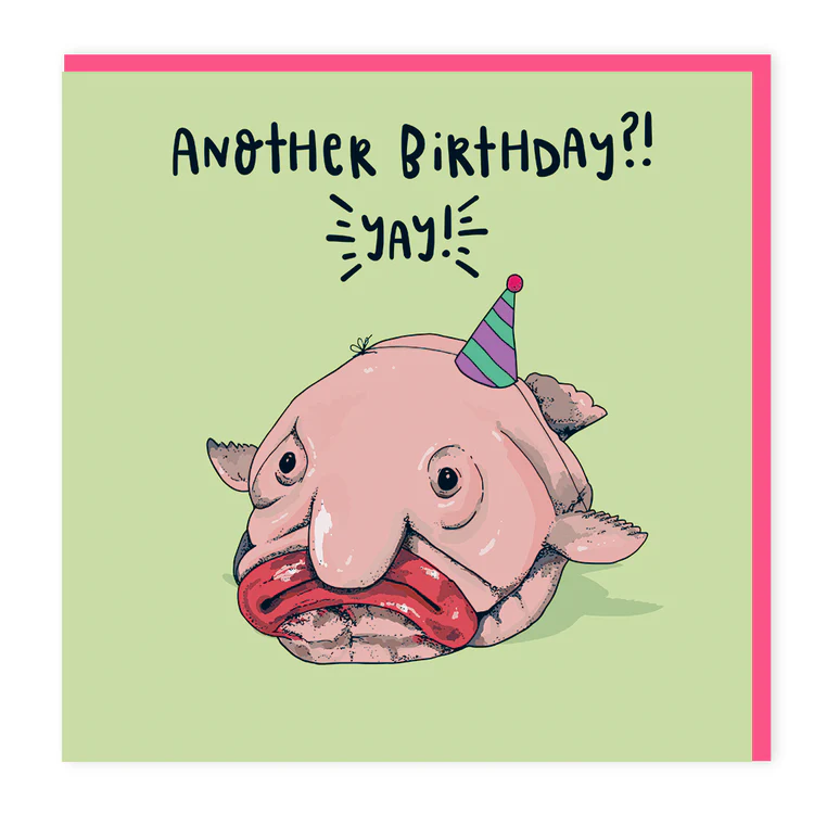 Lovely Paper Stuff - Blob Fish - Yay!