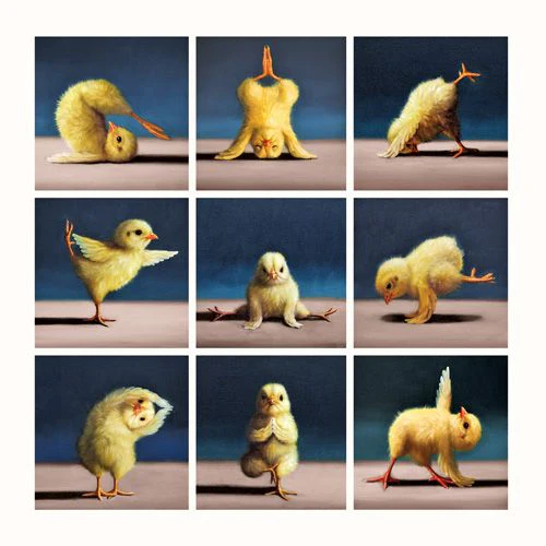 Lucia Heffernan - Chicks Different Poses