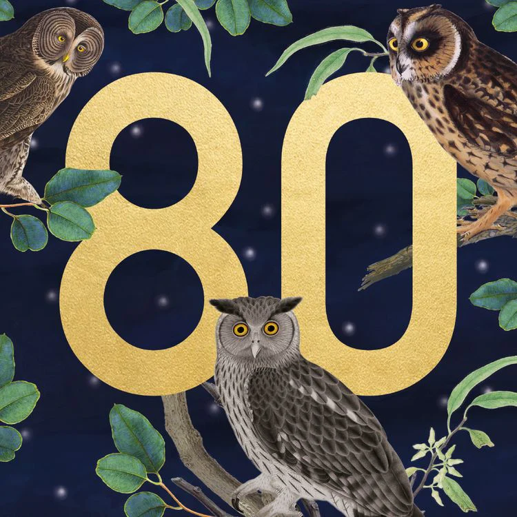 Museums and Galleries - 80th Owls