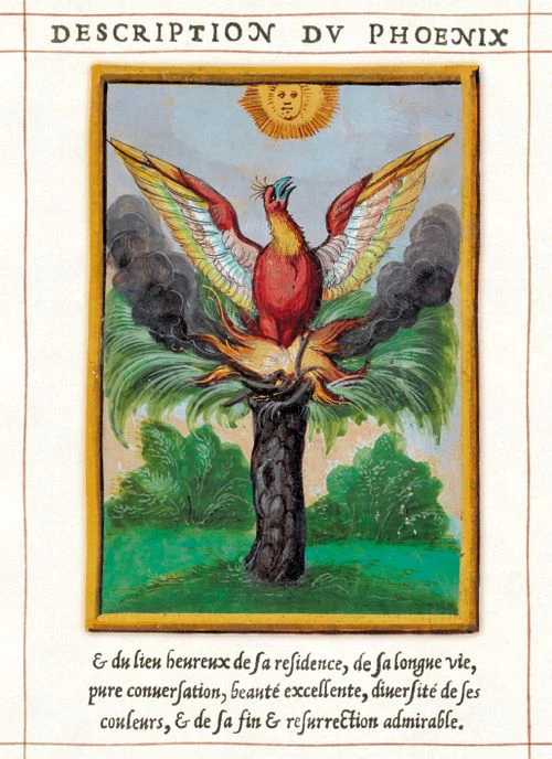 Museums and Galleries - A Phoenix