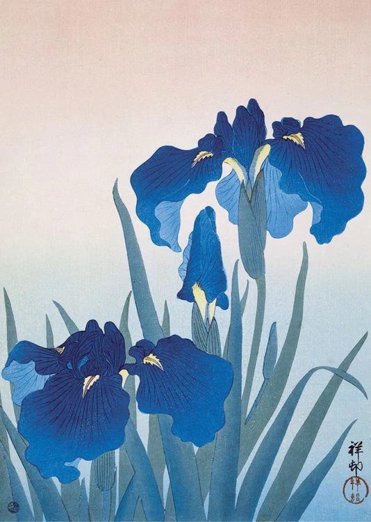 Museums and Galleries - Blue irises