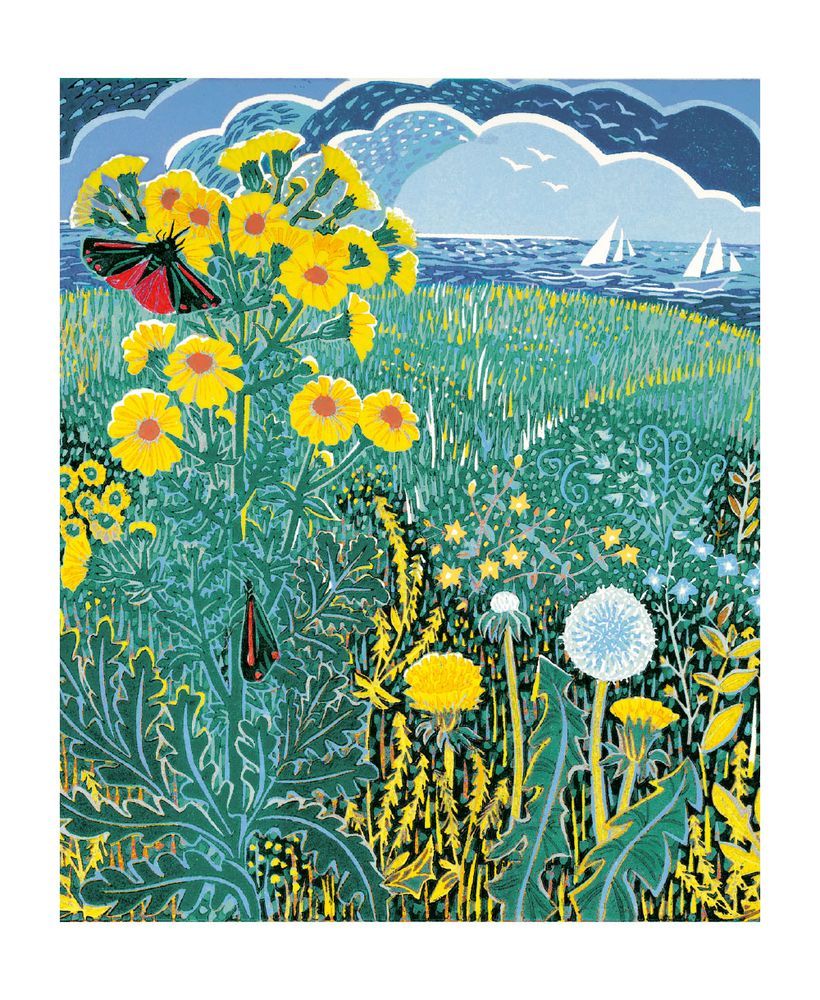 Museums and Galleries - Coastal Flowers