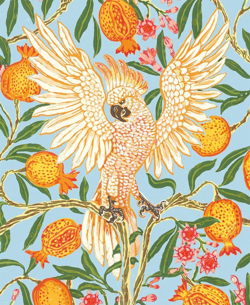 Museums and Galleries - Cockatoo And Pomegranate