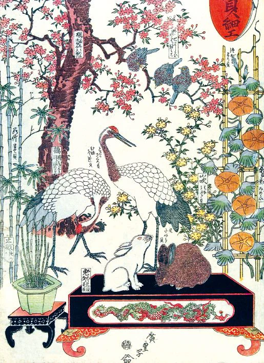 Museums and Galleries - Cranes and rabbits