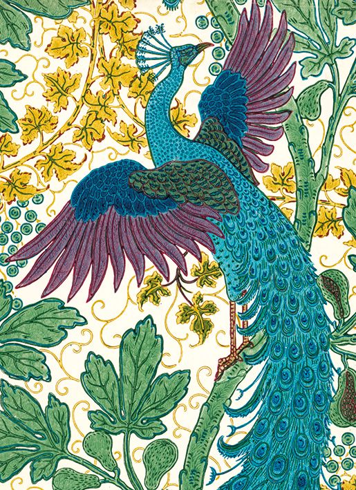 Museums and Galleries - Fig and peacock