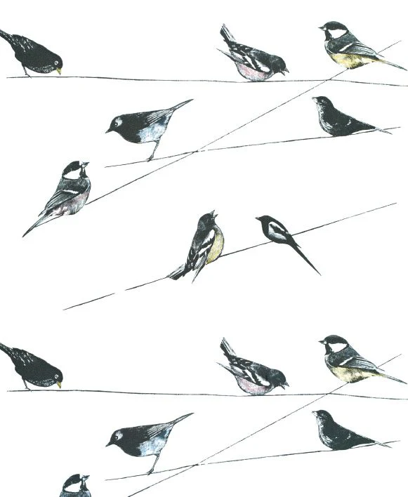 Museums and Galleries - Garden birds wallpaper