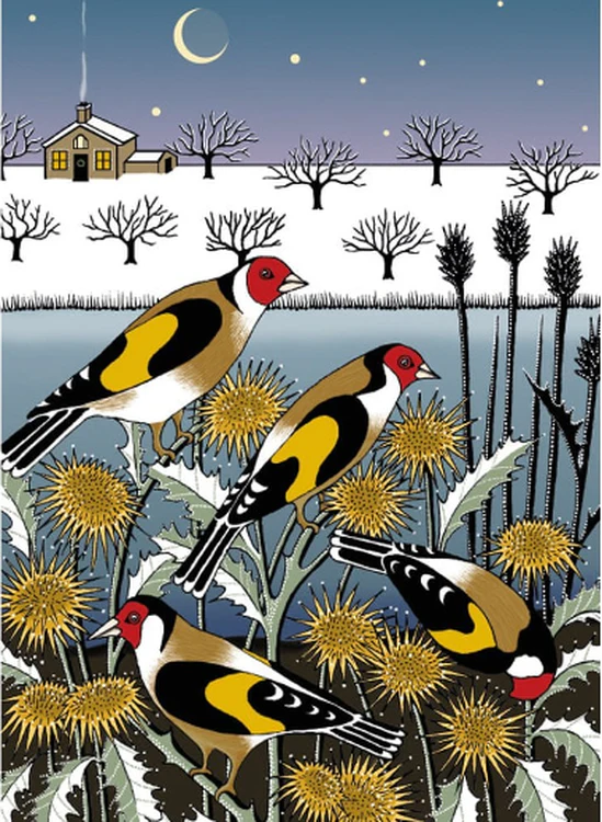 Museums and Galleries - Goldfinch Garden x 8