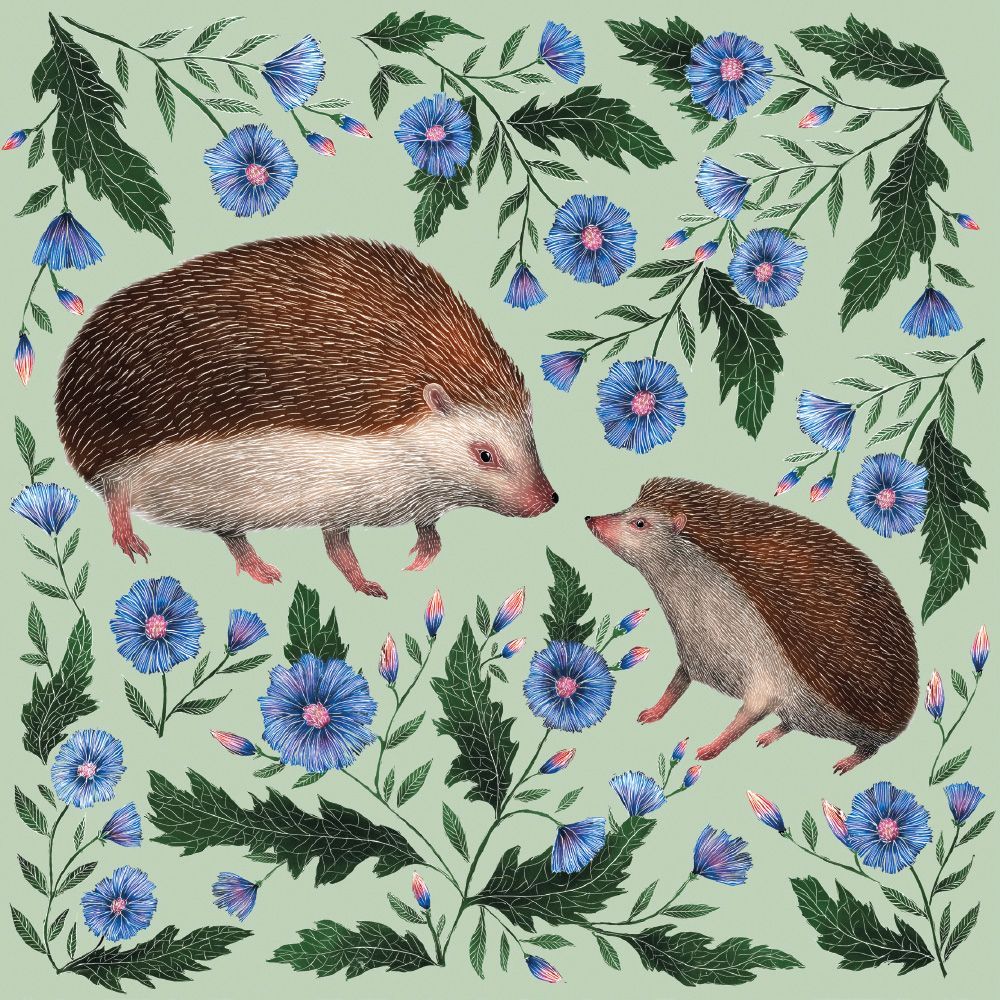 Museums and Galleries - Hedgehogs