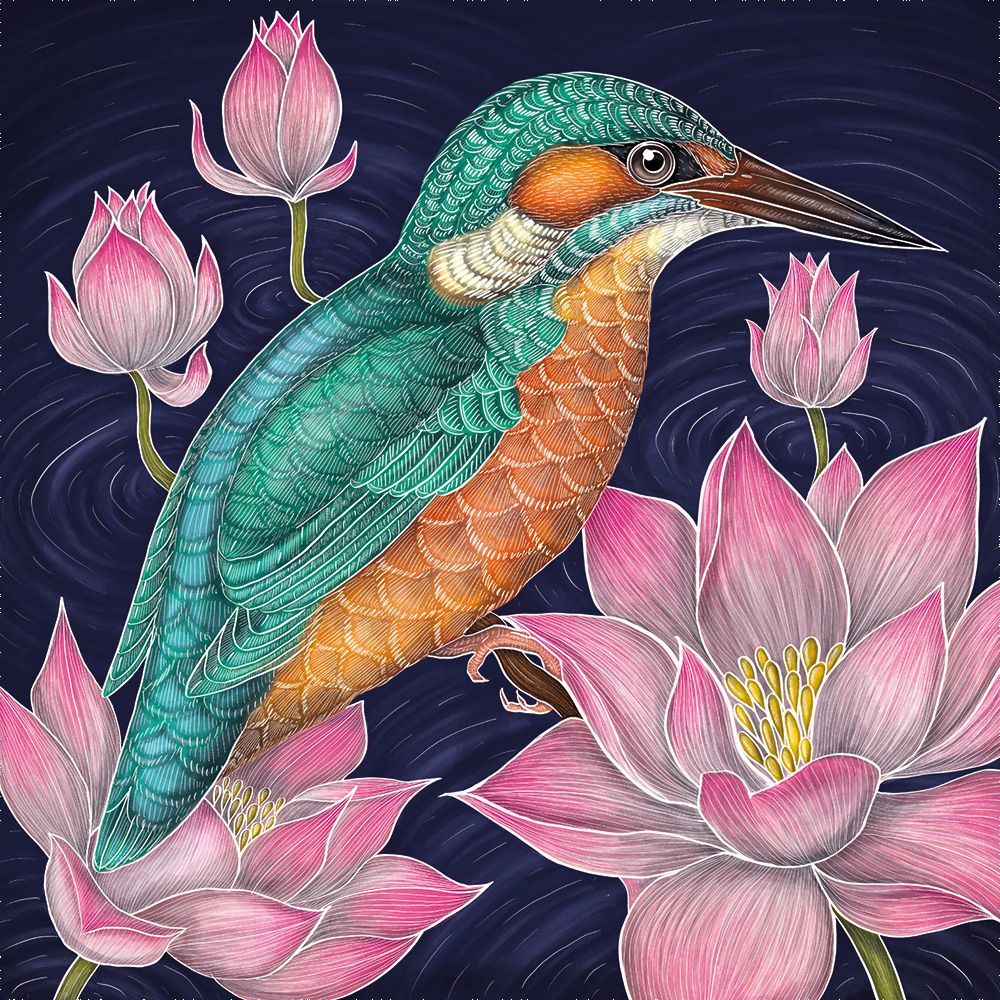 Museums and Galleries - Kingfisher