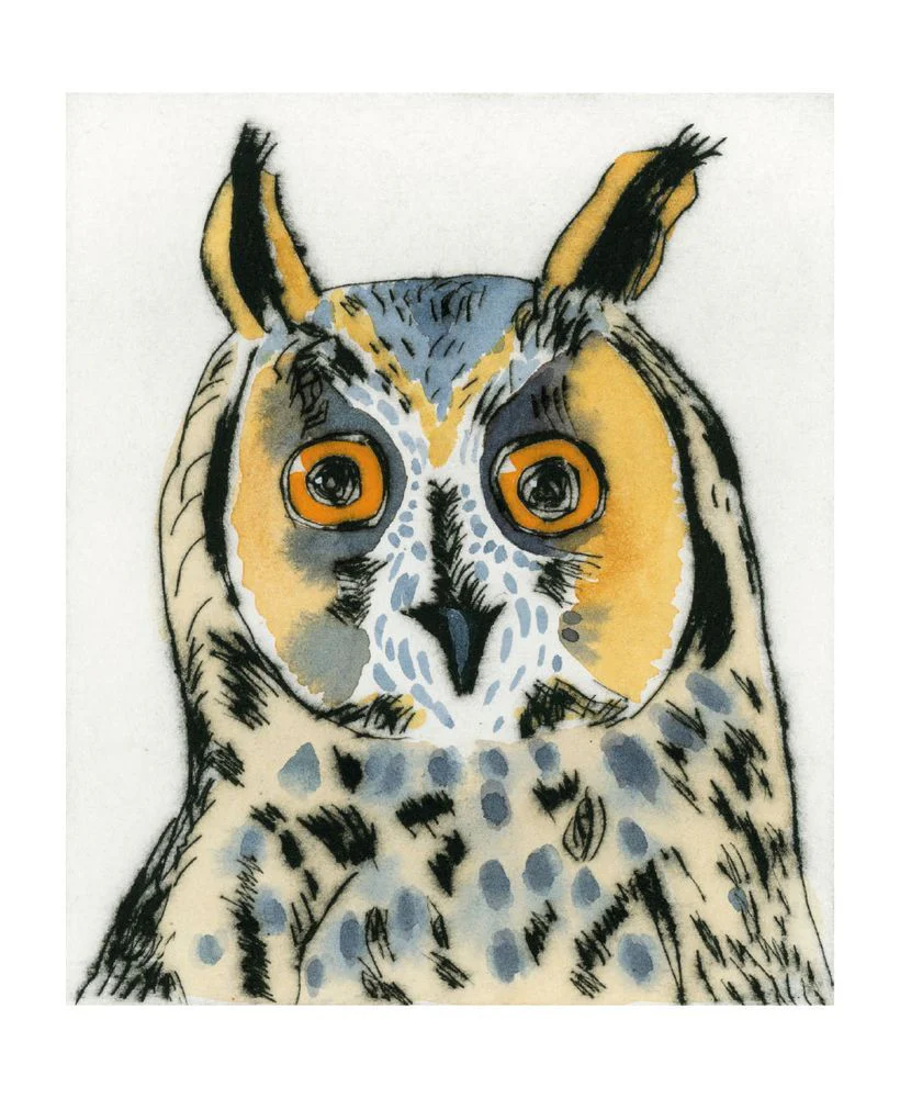 Museums and Galleries - Long-Eared Owl