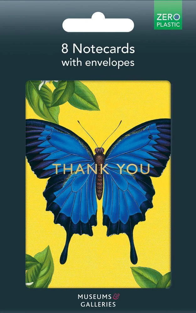 Museums and Galleries - Ulysses Butterfly Thank You x 8