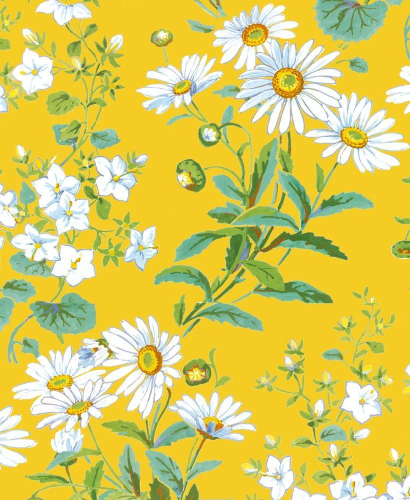 Museums and Galleries - Yellow Daisies